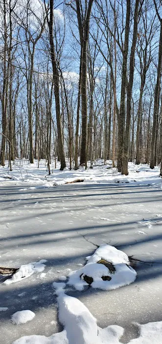 Candlewood Town Park Picture 5