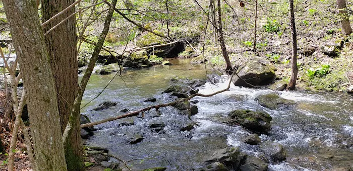 Appalachian Trail Picture 2