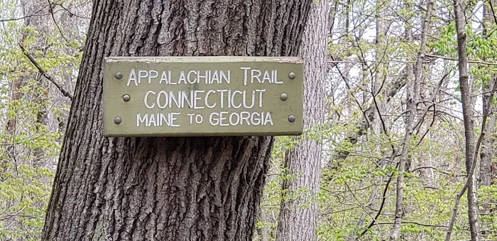 Appalachian Trail Picture 4