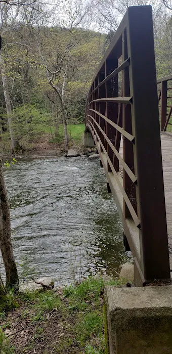 Appalachian Trail Picture 6