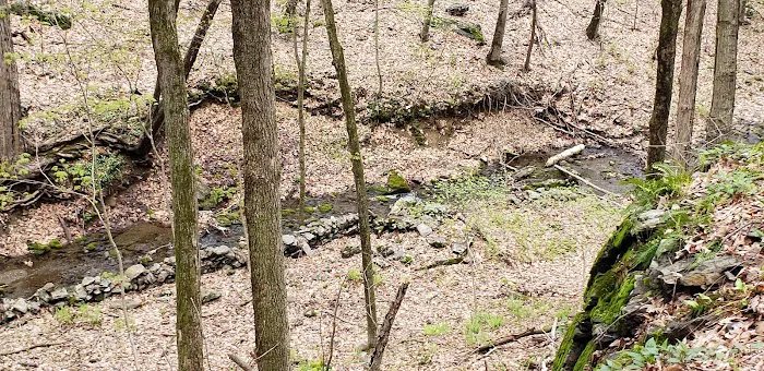 Appalachian Trail Picture 3