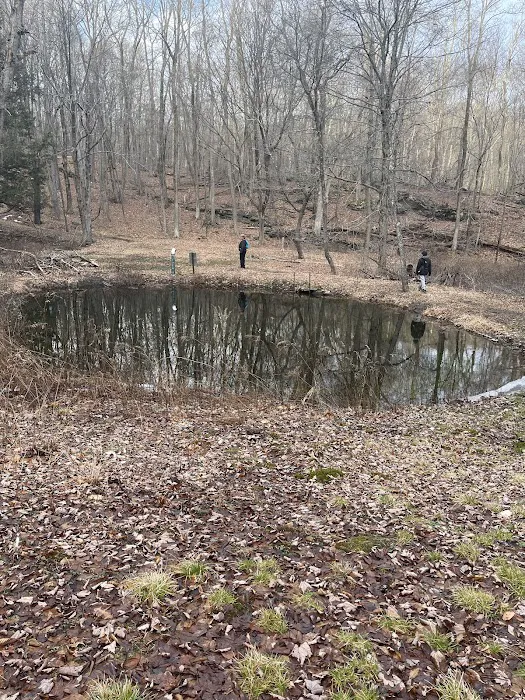 Connecticut Audubon - Deer Pond Farm Sanctuary Picture 10