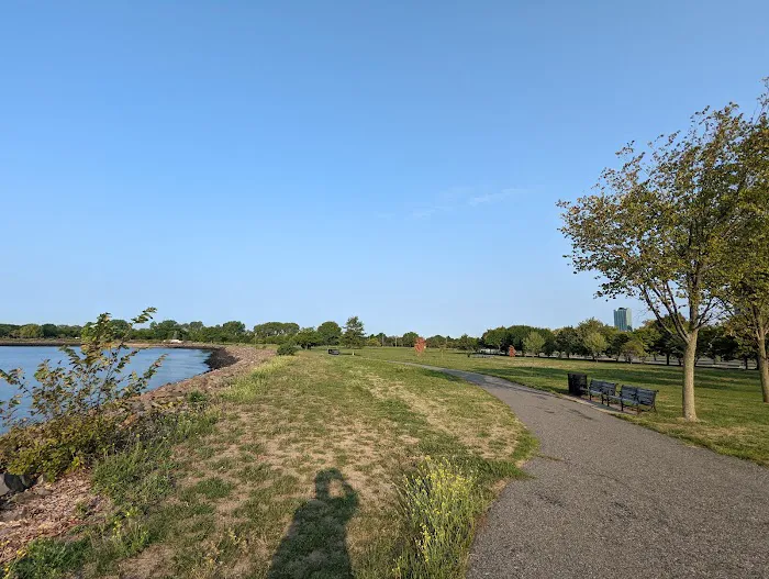 North Cove Field Picture 5