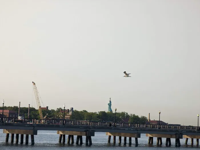 North Cove Field Picture 4