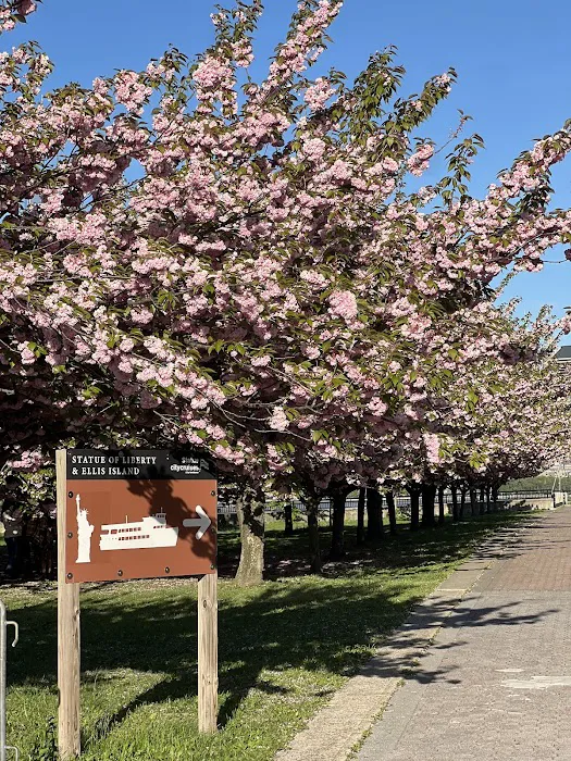 Cherry Tree Grove Picture 9