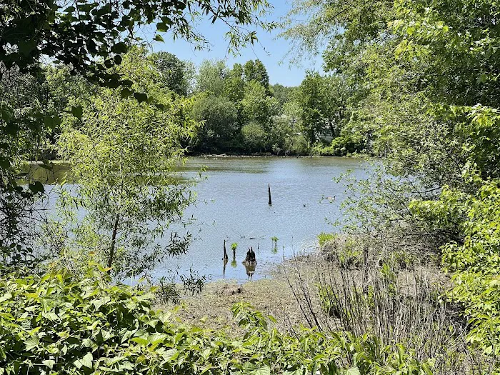 North Mount loretto State Forest parking area Picture 1