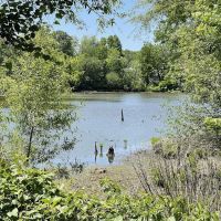 North Mount loretto State Forest parking area ico