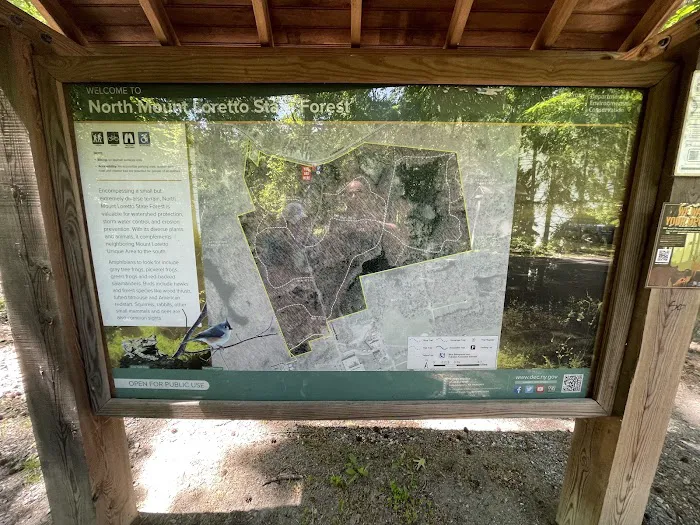 North Mount loretto State Forest parking area Picture 8