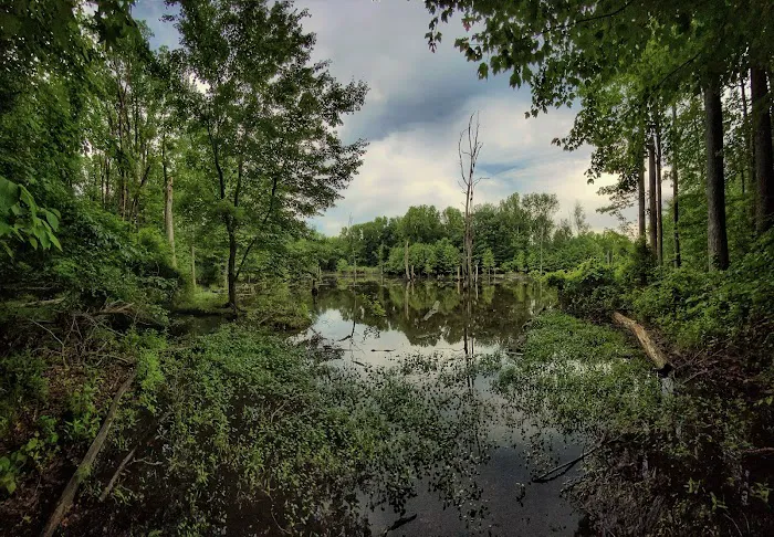 North Mount Loretto State Forest Picture 9