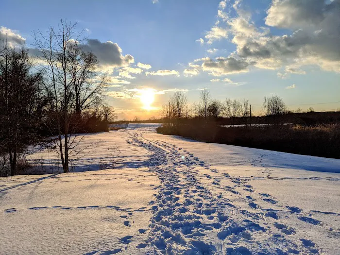 North Mount Loretto State Forest Picture 6