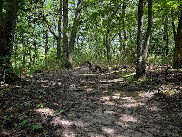 Long Pond Park Picture 6