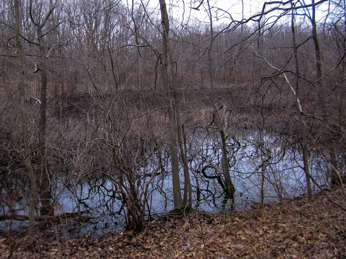 Long Pond Park Picture 9