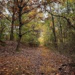 Long Pond Park