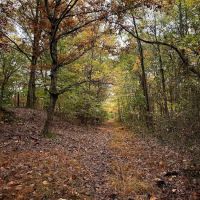 Long Pond Park ico