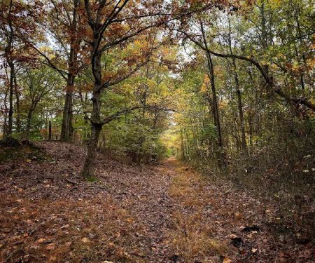 Long Pond Park