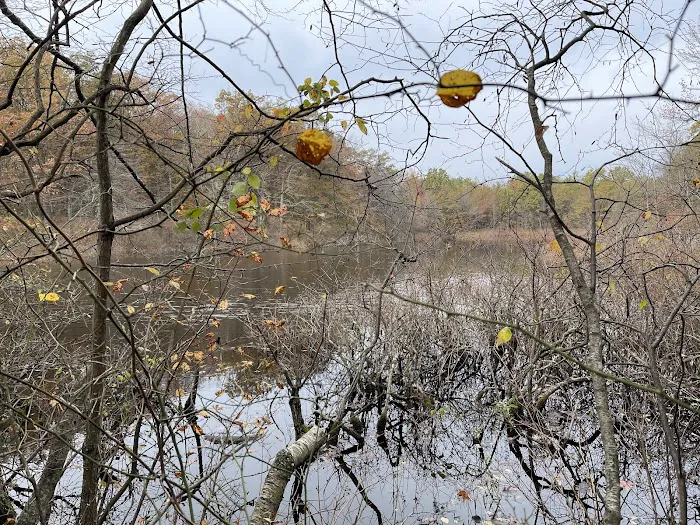 Long Pond Park Picture 10