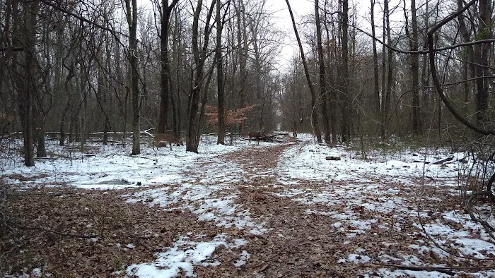 Long Pond Park Picture 8