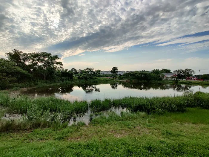Lemon Creek Park Picture 6