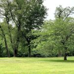 Wheatena Park
