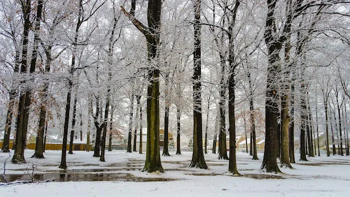 Frank G. Pelzman Park Picture 7