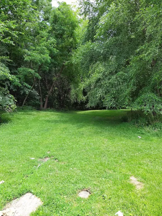Michael S. Bezega Wetland Observation Area Picture 10