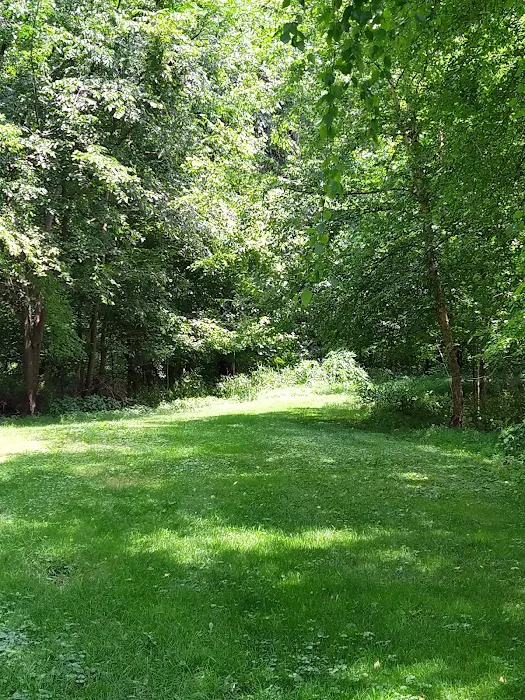Michael S. Bezega Wetland Observation Area Picture 7