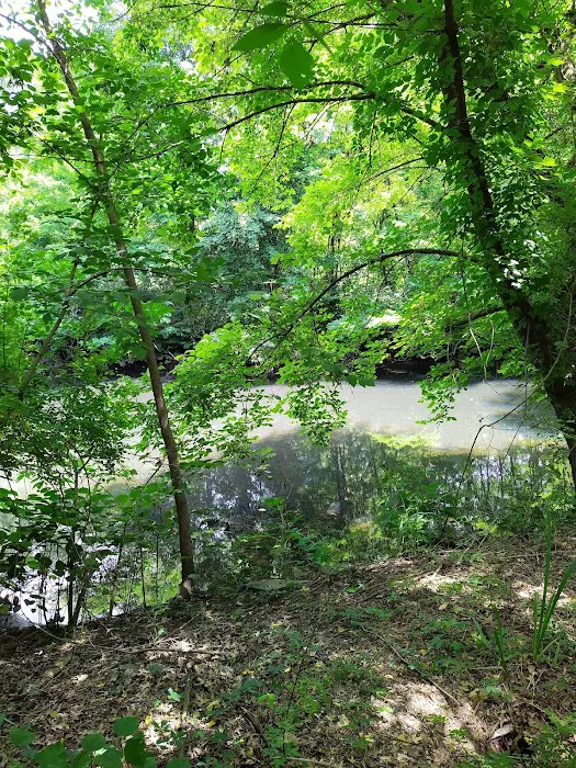 Michael S. Bezega Wetland Observation Area Picture 2