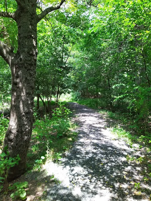 Michael S. Bezega Wetland Observation Area Picture 6