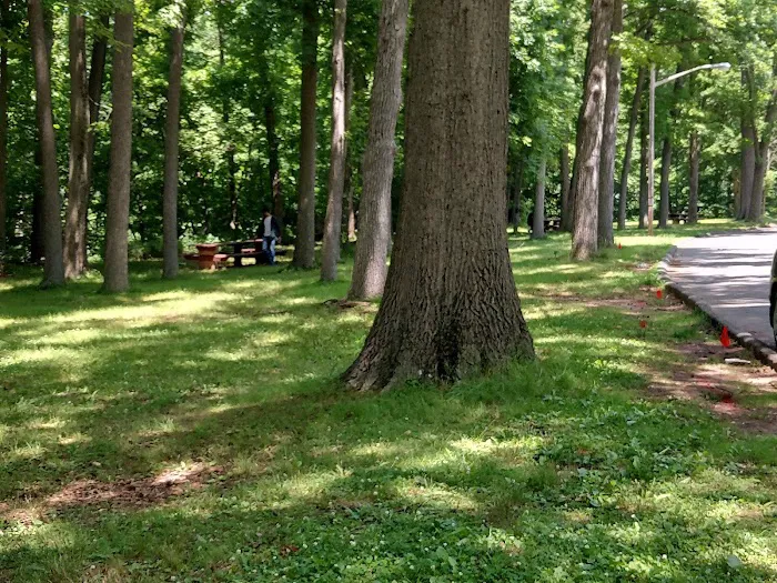 Rahway River Park Picture 1