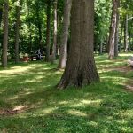 Rahway River Park
