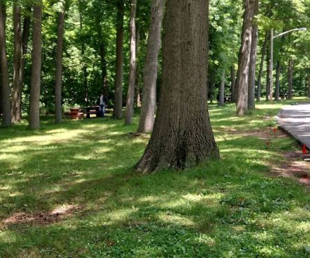 Rahway River Park