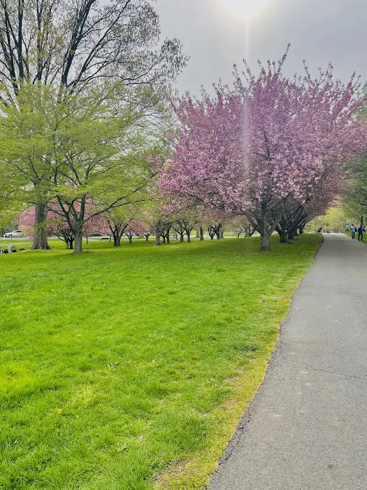 Rahway River Park Picture 2
