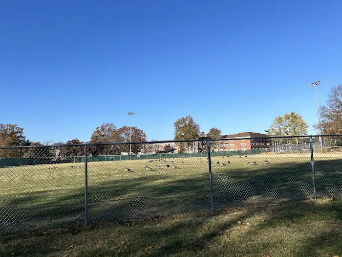 Teener League Field Picture 1