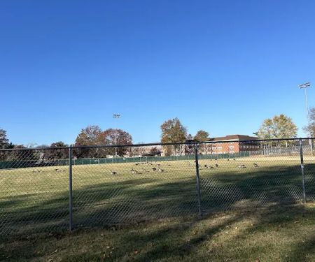 Teener League Field