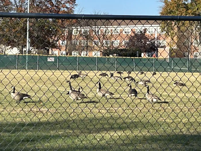 Teener League Field Picture 2