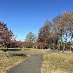 Bicentennial Park