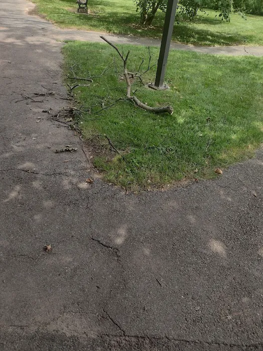 Anthony Terrezza Park Picture 4