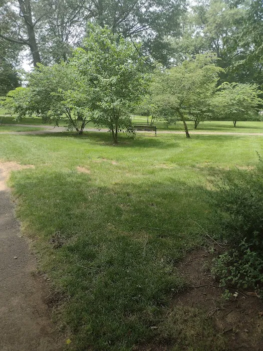 Anthony Terrezza Park Picture 1