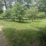 Anthony Terrezza Park