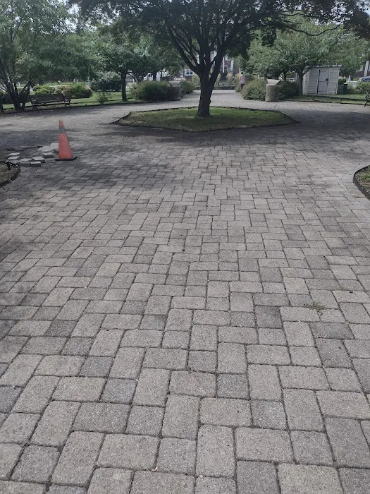 Anthony Terrezza Park Picture 10