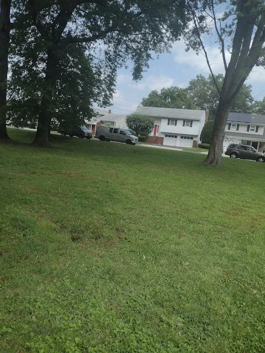Anthony Terrezza Park Picture 7