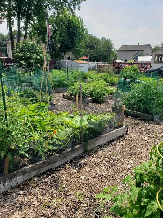 Roselle Park Community Garden Picture 4