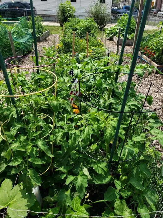Roselle Park Community Garden Picture 1