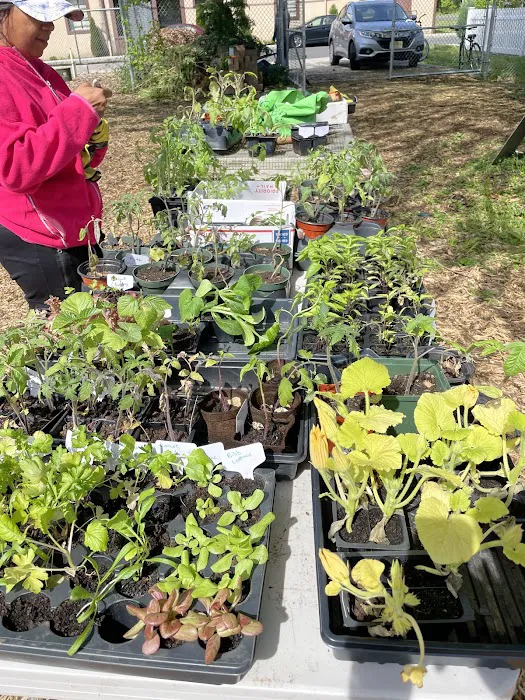 Roselle Park Community Garden Picture 6