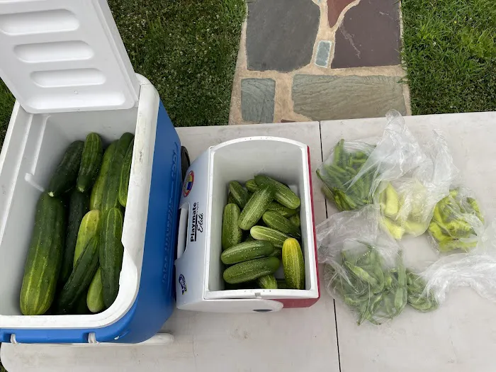 Roselle Park Community Garden Picture 3