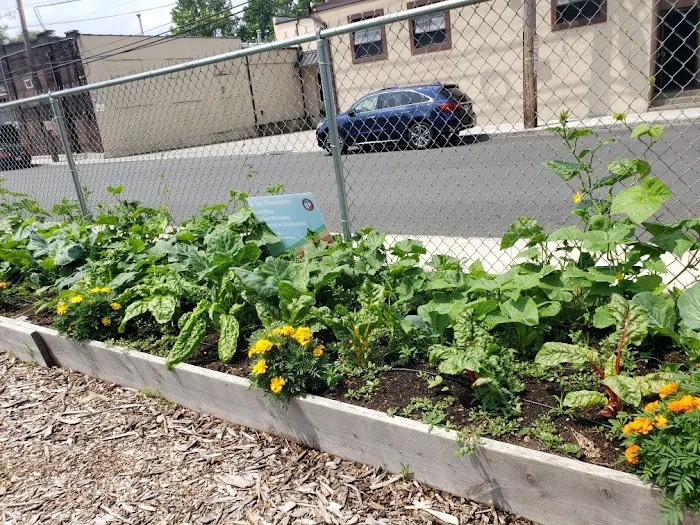 Roselle Park Community Garden Picture 2