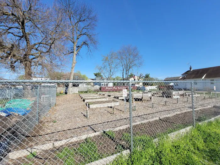 Roselle Park Community Garden Picture 8