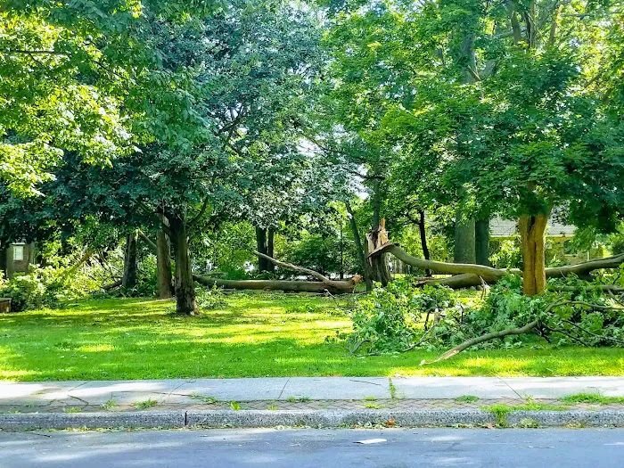 Rahway War Memorial Picture 9