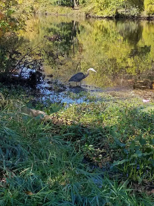 Mohawk Park Picture 9