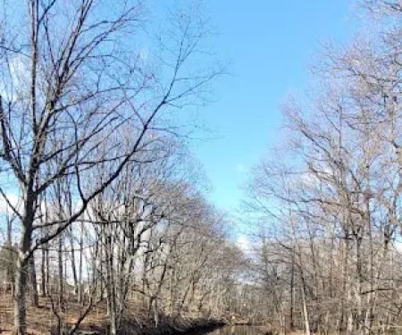 Mohawk Park